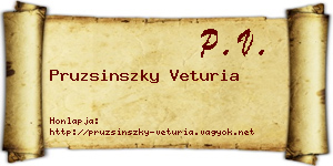 Pruzsinszky Veturia névjegykártya